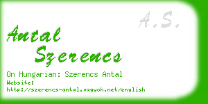 antal szerencs business card